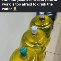 The Yellow Water