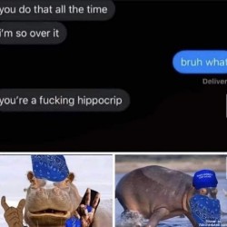I’m So Over It
