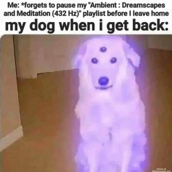 My Dog